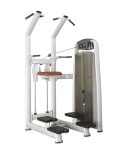 /   BRONZE GYM   A9-008 -     