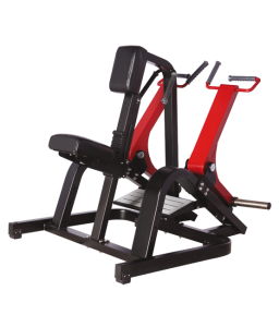   BRONZE GYM   A-06 -     