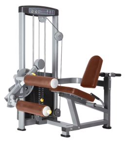    BRONZE GYM   D-013  -     