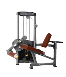    BRONZE GYM   D-014 -     