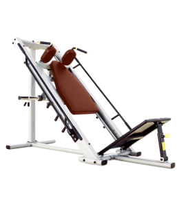 - BRONZE GYM   J-022A  -     