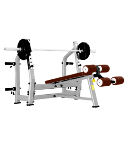       BRONZE GYM   J-024 -     