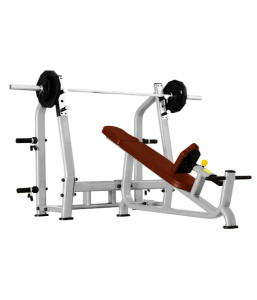       BRONZE GYM   J-025 -     