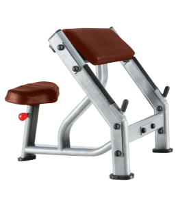   BRONZE GYM   J-040 -     