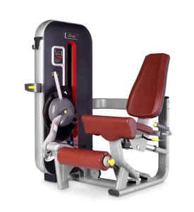    BRONZE GYM   MT-014 -     