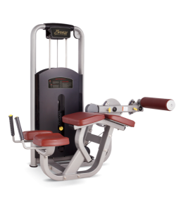    BRONZE GYM   MV-013A -     