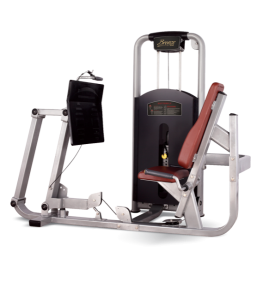   BRONZE GYM   MV-015 -     