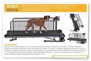   Fit Fur Life Medium      ! -     
