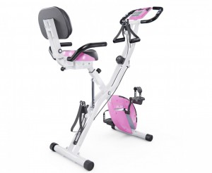 ������������ X-Bike DFC PLENY CF-917FM-2 �������� � ����������� ��� ���� ����� - ���������� ����������� �������� ������� �����������