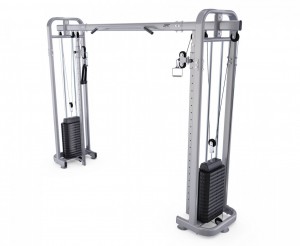 ��������� DFC HomeGym D10098 / 2 ����� �� 90 �� ���������������� ������� ������� vasil - ���������� ����������� �������� ������� �����������