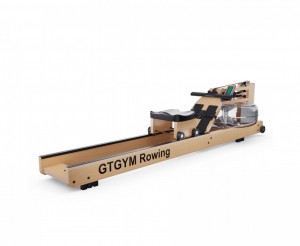 ������� �������� DFC GTGYM Frank �������� ����������� - ���������� ����������� �������� ������� �����������