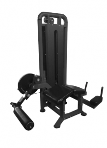     BRONZE GYM PARTNER ML-706  -     