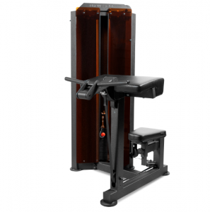 ������ ������ ���������������� BRONZE GYM PARTNER ML-803 �������� ����� - ���������� ����������� �������� ������� �����������
