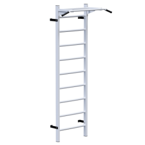 �������� ������ � �������� Sabirgym SGL071 ������������� - ���������� ����������� �������� ������� �����������