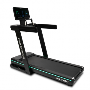 ������� ������� BRONZE GYM WALKWAY �������� ������������� ������������� - ���������� ����������� �������� ������� �����������