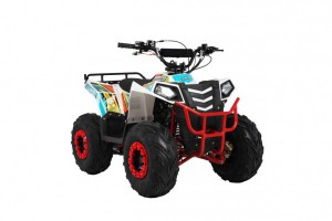  Wels  THUNDER EVO.M 110cc  s-dostavka -     