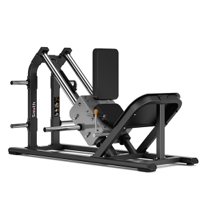 �������� Smith SH009 ����-������ s-dostavka - ���������� ����������� �������� ������� �����������