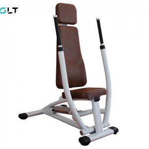    GLT G01 s-dostavka -     