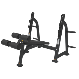 BRONZE GYM BR-1013       -     