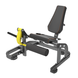 BRONZE GYM PL-1711    -     