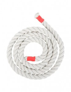 ��������-����� ���������� 20 ������ - ���������� ����������� �������� ������� �����������