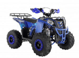  Wels ATV THUNDER EVO 125 s-dostavka  -     