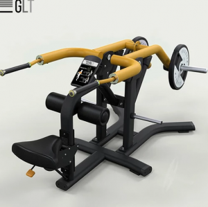 GLT PL04        -     
