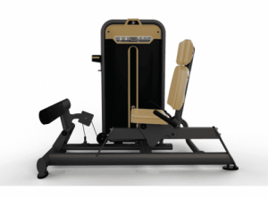    /STANDING CALF MACHINE BM-017A -     