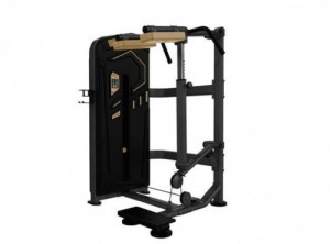    /STANDING CALF MACHINE AK-017 -     