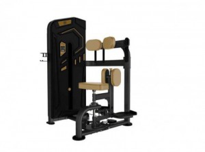    /ROTARY TORSO MACHINE AK-011 -     