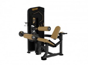   /SEATED LEG CURL AK-013 -     