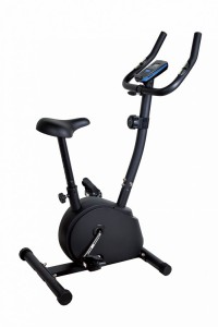   Royal Fitness  RFIB-12 -     